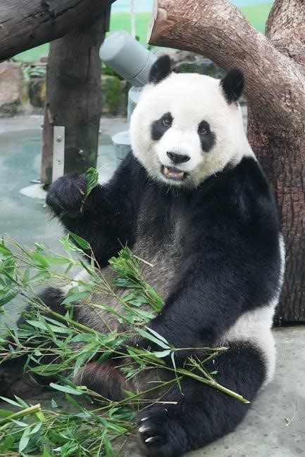 panda bear panda bear what do you see pdf