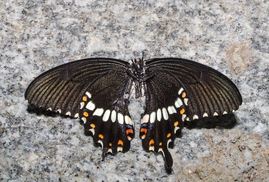 m. butterfly pdf