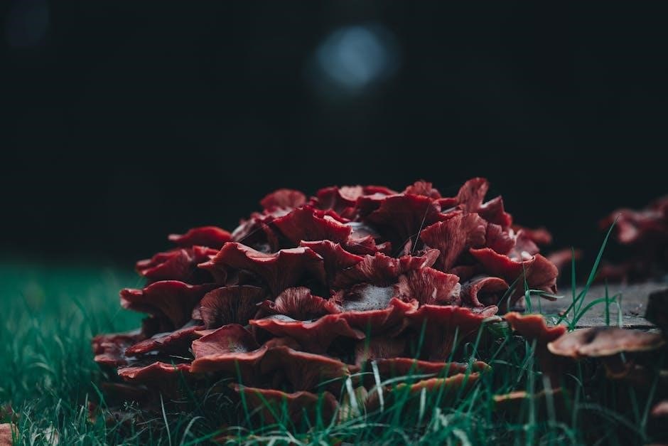 audubon mushroom field guide