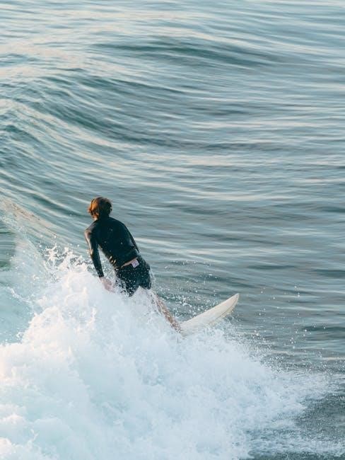 mens wetsuit size guide