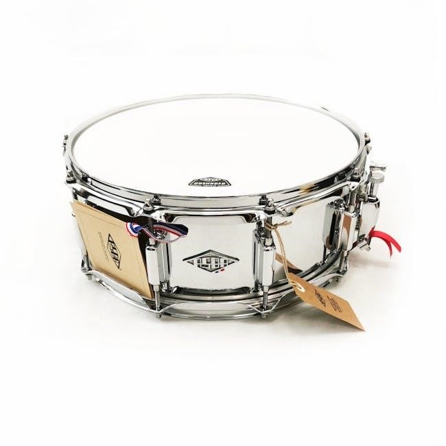snare rudiments pdf